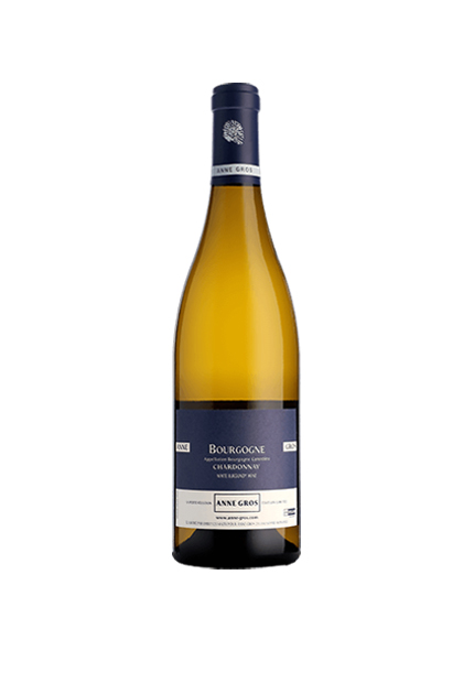 2020 Bourgogne Chardonnay